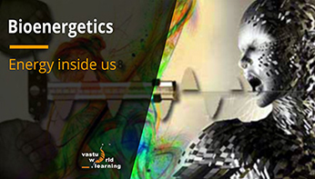 bioenergetics_FI bioenergetics_FI