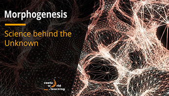 morphogenesis_FI morphogenesis_FI