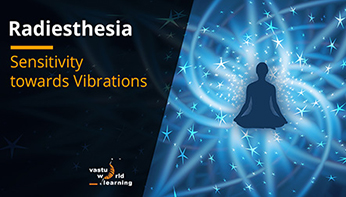 radiesthesia_fi radiesthesia_fi